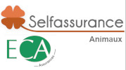 ECA self Assurances