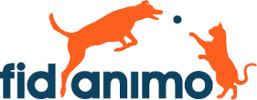 fidanimo