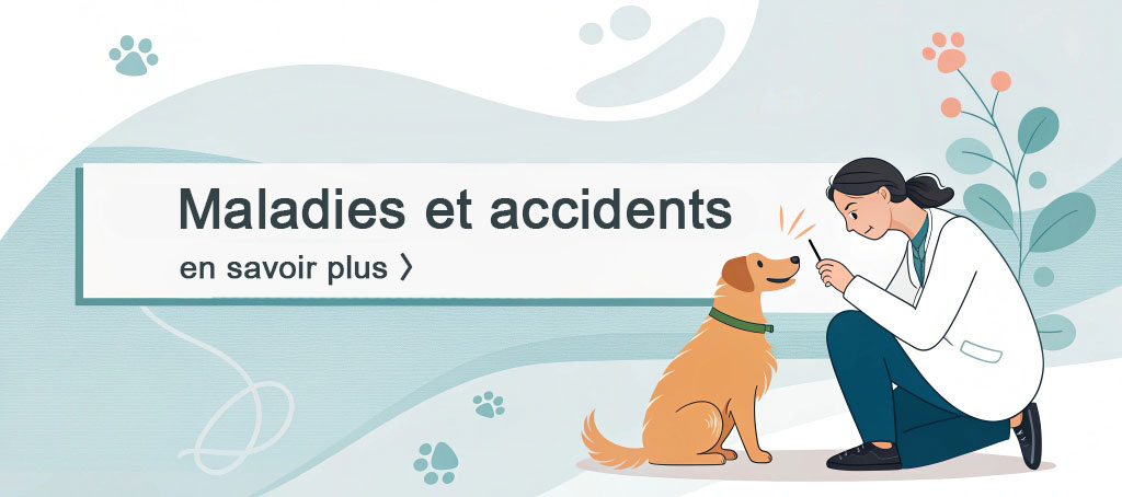 guides maladies et accidents des chiens