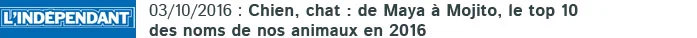 Animaux Relax dans L'indépendant