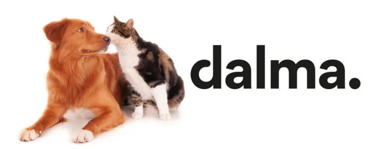 Dalma assurance animaux