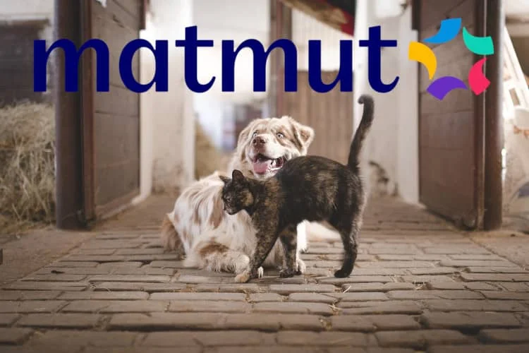 assurance chien chat matmut