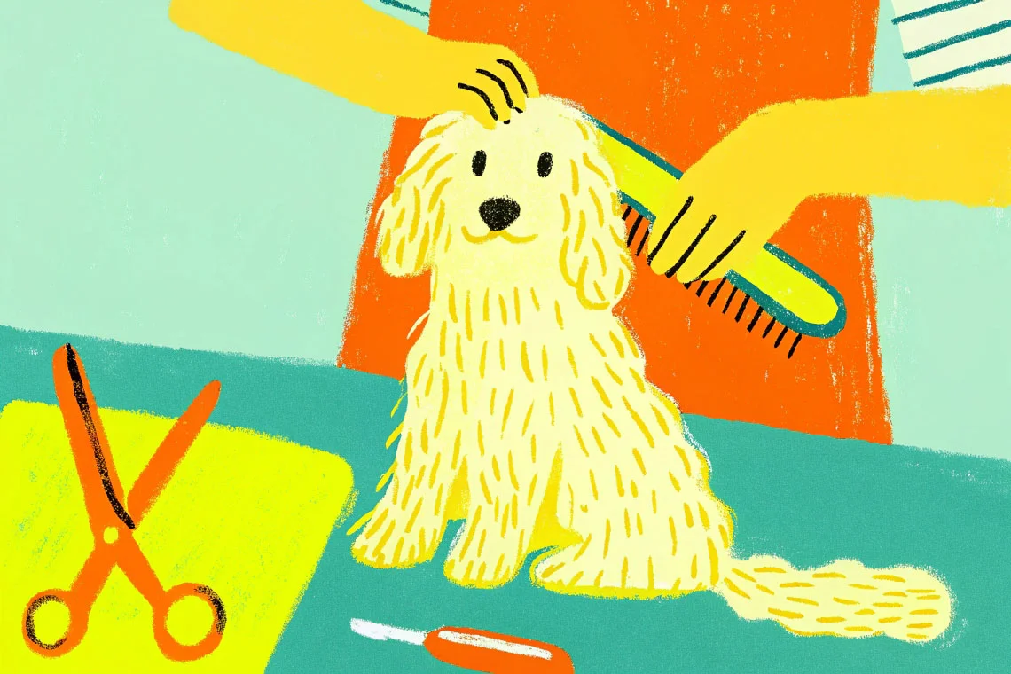 entretien d'un chien