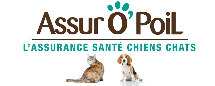 Assur O Poil assurance animaux