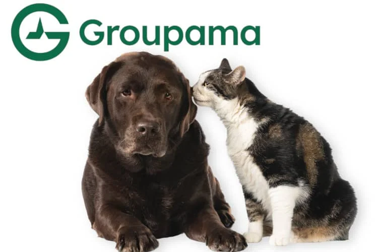 groupama assurance chien
