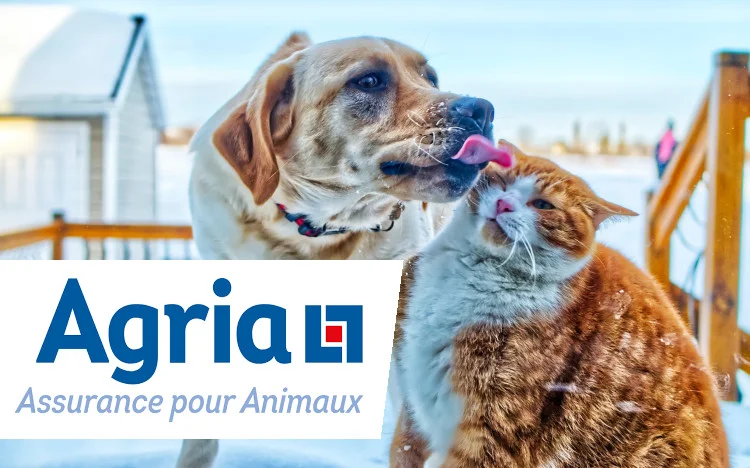 Agria assurance Chien Chat