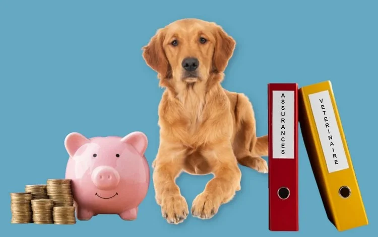assurance chien-pas-chere