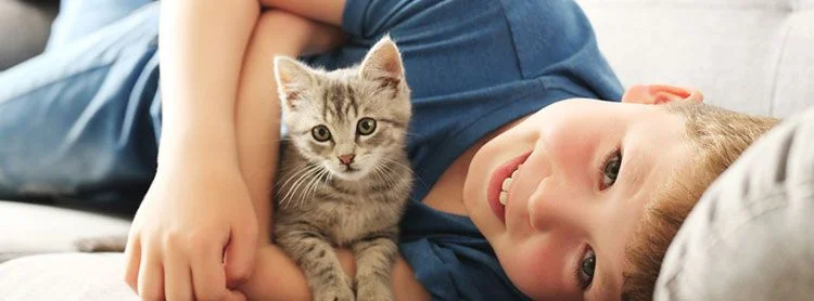 Un enfant et un chat à assurer