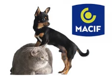 macif_assurance_avis
